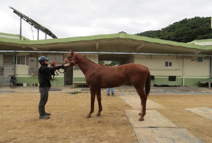 ������Ϳ� ����