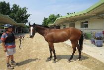 ����ȭ�� (WORLD HWAHAP) ����