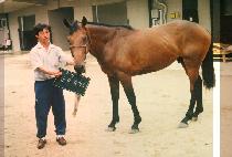 ��Ƽ����Ʈ (ANTINATE) ����