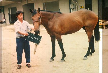 ��Ƽ����Ʈ ����