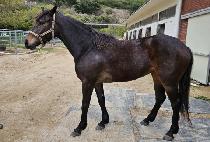 �°����� (ONGOJISIN) ����