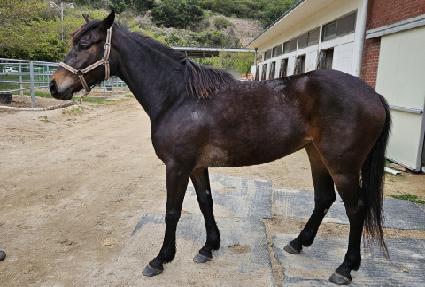 �°����� ����