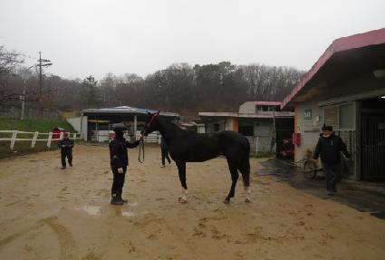 �����۽�Ʈ ����