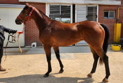 ���� ����