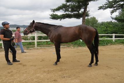 ������Ÿ ����