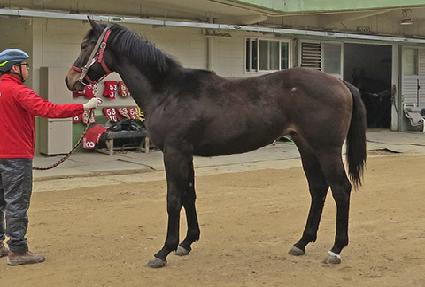 �����ƶ��� ����