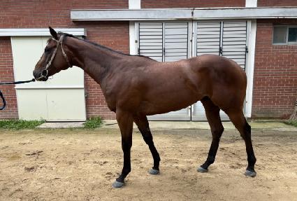 �ε������̽� ����