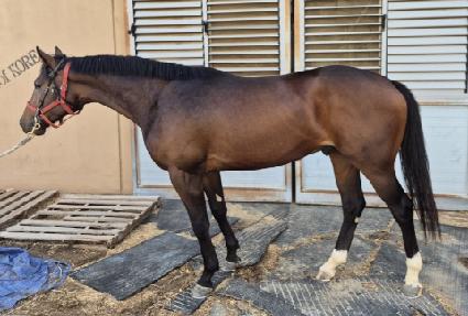 ���̵��Ӹ��� ����