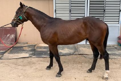 ��Ʈ������ ����