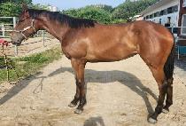 ��Ʈ������ (HIT OVERCOME) ����