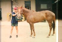 �ڶ��Ÿ� (JA RANG KEU RI) ����