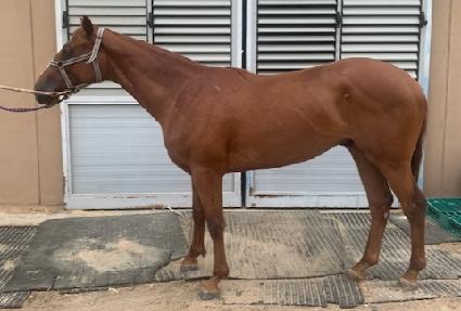 ������ī�� ����