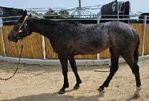 �����Ŀ� (MOTHER POWER) ����