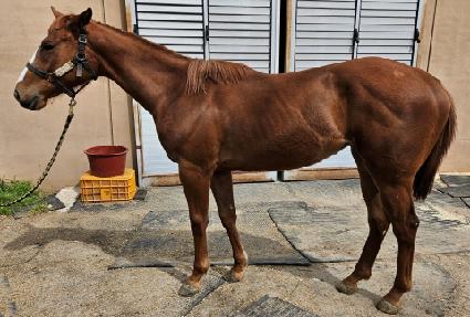 �������зο� ����