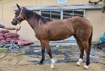 �������� (BAEKJE GODAM) ����