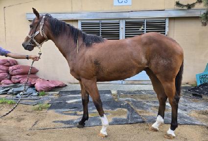 �������� ����