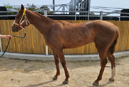 �������� ����