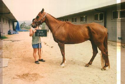 �ҿ��ϰ� ����