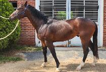 ���缱�� (BLUE THUNDER) ����