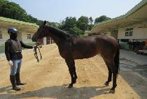 ��õ��Ʈ (SINCHEON HEART) ����