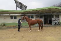 ����Ŭ���� (SAENAE CLASSIC) ����