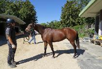 �ε������Ǿ� (ROAD TO SPEAR) ����