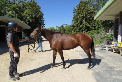 �ε������Ǿ� ����