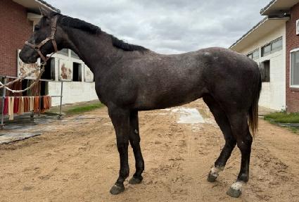 �۷ι����� ����