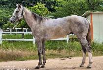 �ϴú��� (HANEUL BOSS) ����