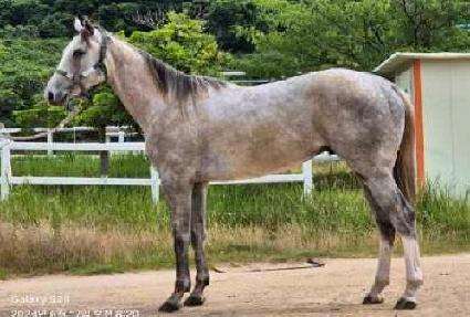 �ϴú��� ����