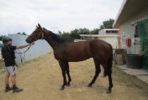 è���Լ� (CHAMP HAMSEONG) ����