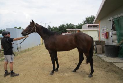 è���Լ� ����