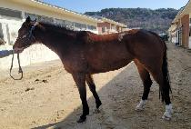 �����÷��� (WIND PLAY) ����