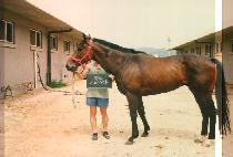 ���۽�Ÿ (ZIPPER STAR) ����