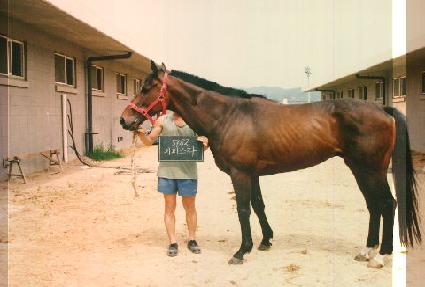 ���۽�Ÿ ����