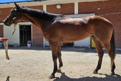 ����ƾ���� ����