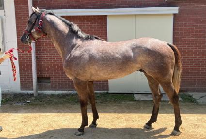 �ö��׷��̽� ����