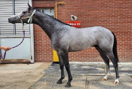 �������� ����