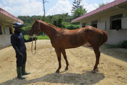 �����ཬ ����