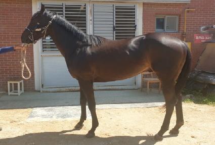 �׷���Ʈ�� ����