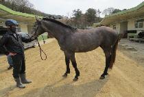 ����¾� (YONGBI TAEYANG) ����