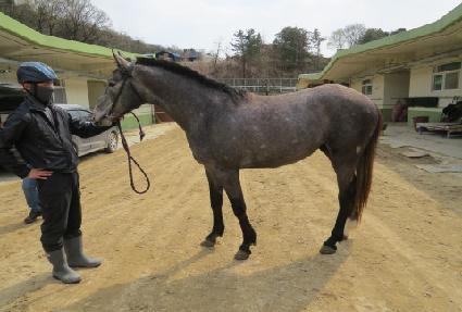 ����¾� ����