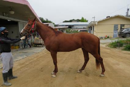 ���������̽� ����