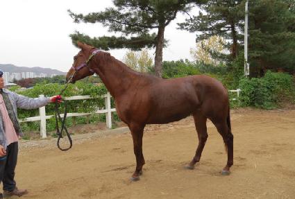 Ʈ�������� ����