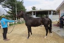 ����õ�� (JOY CHEONHA) ����