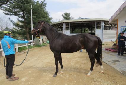 ����õ�� ����