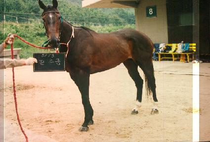 �ʼ�ǰ ����