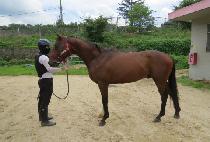 ��ſ��� (JEULGEOUN SANGSANG) ����