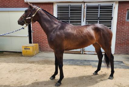 ���̰��� ����