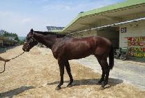 ��������̽� (HERO CHOICE) ����